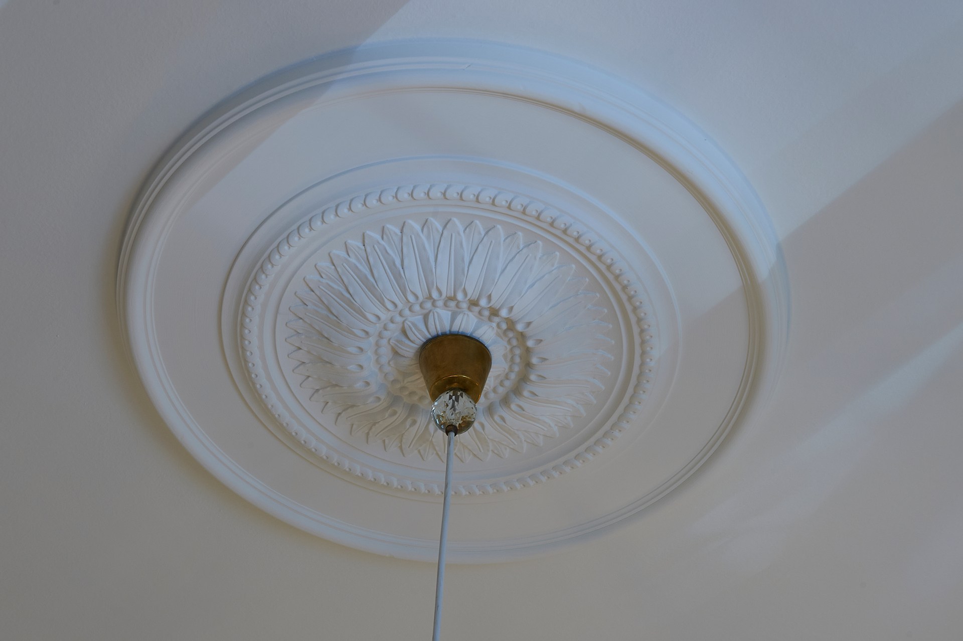 Decorative ceiling rose with intricate relief, accentuating a pendant light in a refined ceiling design.