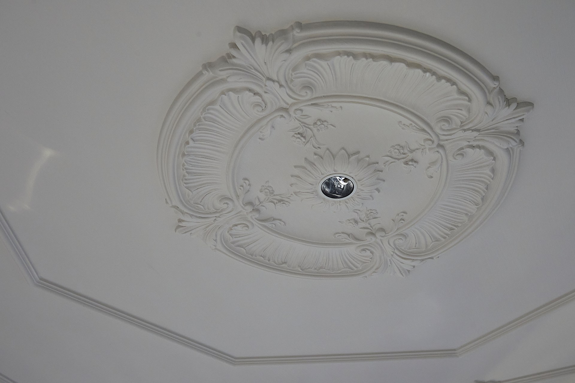Ornate ceiling rose with sculpted detailing, enhancing architectural ceiling decoration.